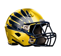 NorthEast-Helmet.png